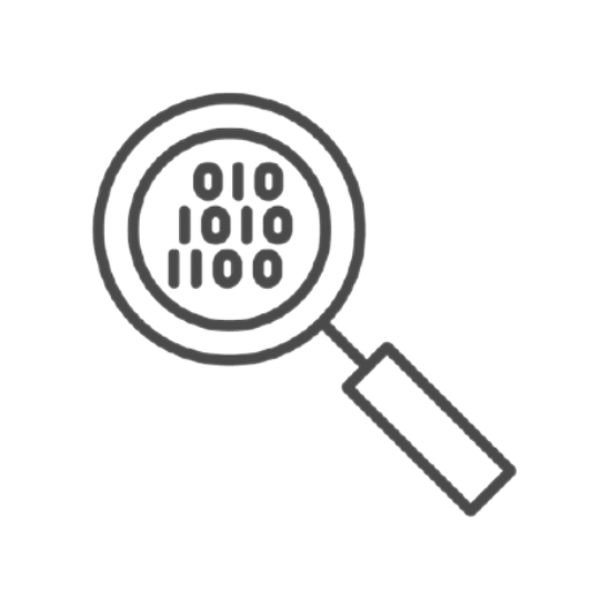Magnifying glass looking a software code Icon